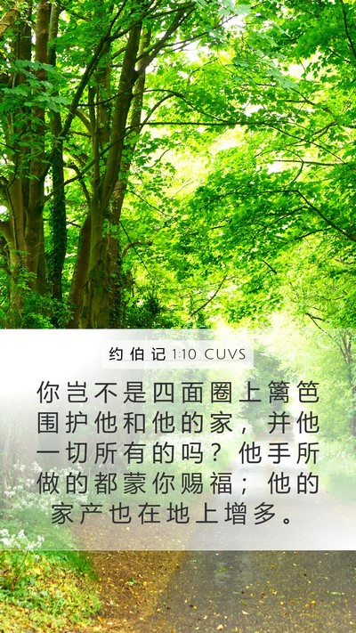 约 伯 记 1:10 CUVS Bible Verse Image