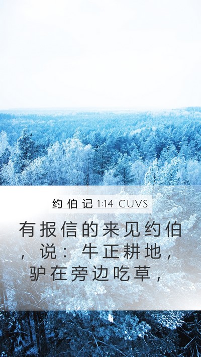 约 伯 记 1:14 CUVS Mobile Phone Wallpaper - 有 报 信 的 来 见 约 伯 ， 说 ： 牛 - Mobile Bible Verse Wallpaper