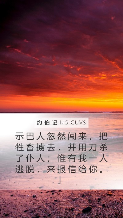 约 伯 记 1:15 CUVS Bible Verse Image