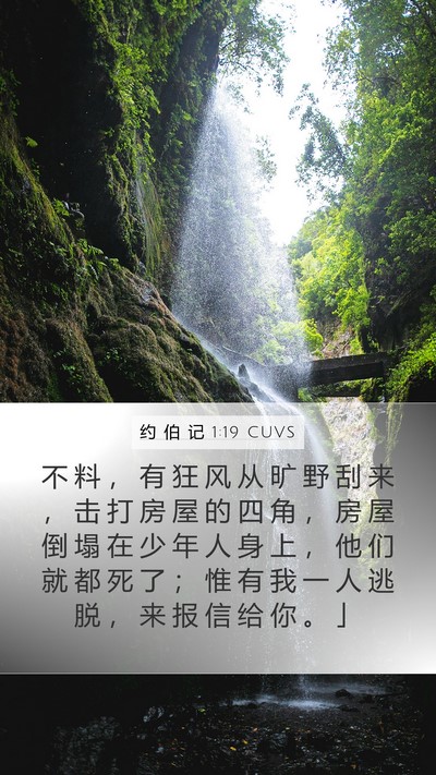 约 伯 记 1:19 CUVS Bible Verse Image