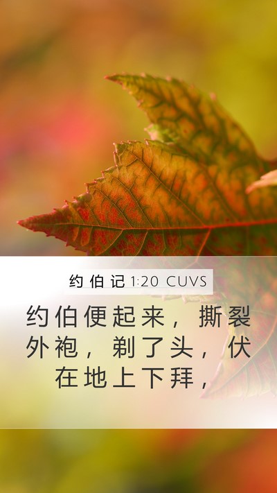 约 伯 记 1:20 CUVS Bible Verse Image