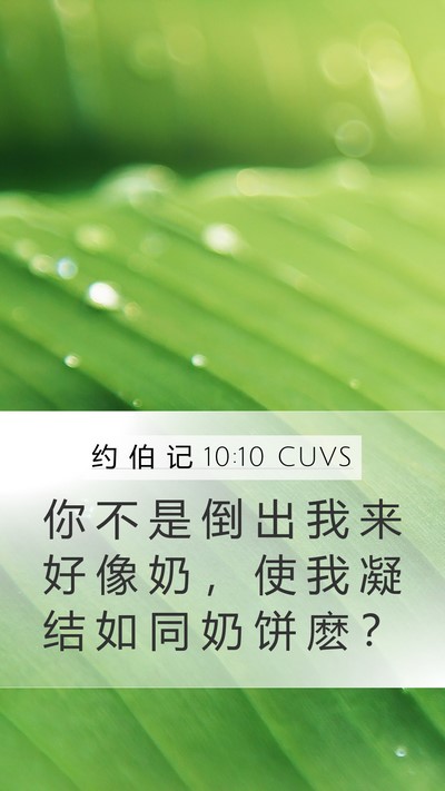 约 伯 记 10:10 CUVS Mobile Phone Wallpaper - 你 不 是 倒 出 我 来 好 像 奶 ， 使 - Mobile Bible Verse Wallpaper