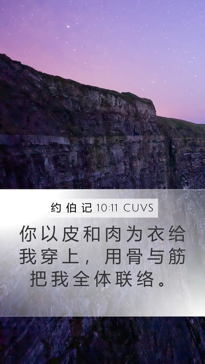 约 伯 记 10:11 CUVS Mobile Phone Wallpaper - 你 以 皮 和 肉 为 衣 给 我 穿 上 ， - Mobile Bible Verse Wallpaper