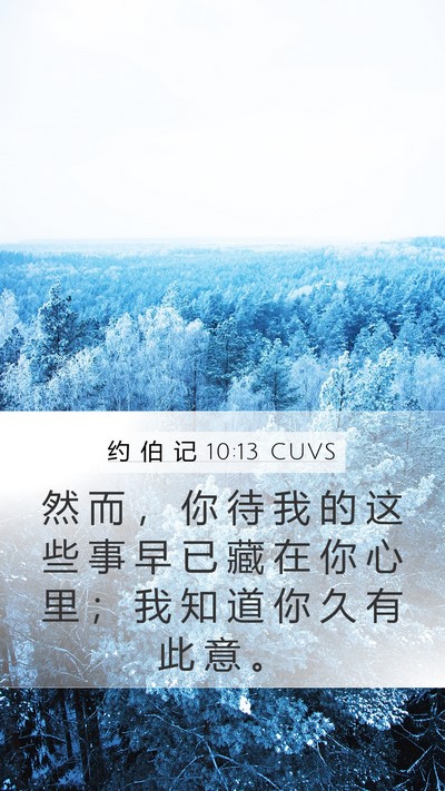 约 伯 记 10:13 CUVS Mobile Phone Wallpaper - 然 而 ， 你 待 我 的 这 些 事 早 已 - Mobile Bible Verse Wallpaper