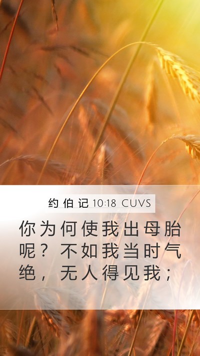 约 伯 记 10:18 CUVS Bible Verse Image