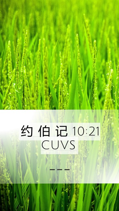 约 伯 记 10:21 CUVS Bible Verse Image