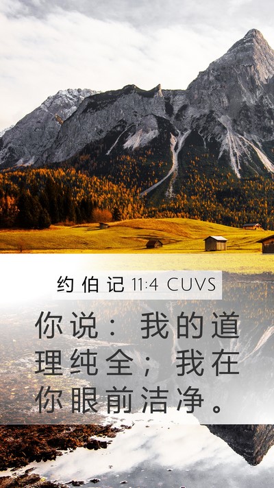 约 伯 记 11:4 CUVS Bible Verse Image