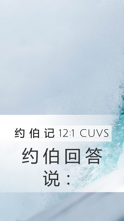 约 伯 记 12:1 CUVS Mobile Phone Wallpaper - 约 伯 回 答 说 - Mobile Bible Verse Wallpaper