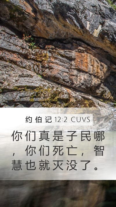 约 伯 记 12:2 CUVS Bible Verse Image