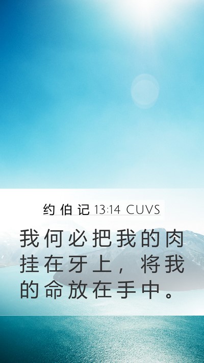 约 伯 记 13:14 CUVS Bible Verse Image