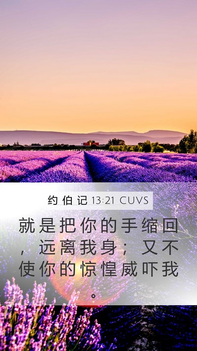 约 伯 记 13:21 CUVS Bible Verse Image