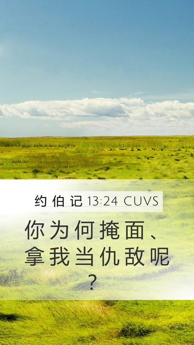 约 伯 记 13:24 CUVS Bible Verse Image