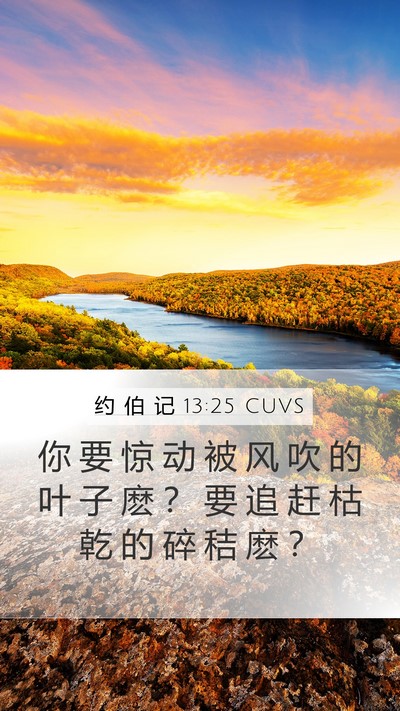 约 伯 记 13:25 CUVS Bible Verse Image