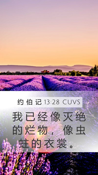 约 伯 记 13:28 CUVS Bible Verse Image