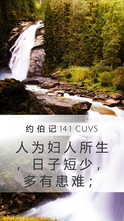 约 伯 记 14:1 CUVS Bible Verse Image