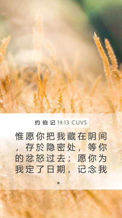 约 伯 记 14:13 CUVS Bible Verse Image