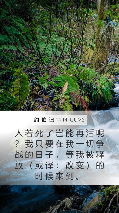 约 伯 记 14:14 CUVS Bible Verse Image