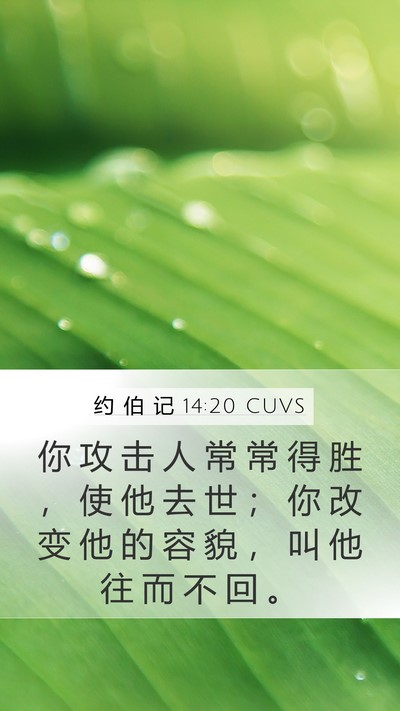 约 伯 记 14:20 CUVS Bible Verse Image
