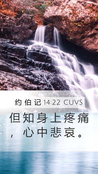 约 伯 记 14:22 CUVS Mobile Phone Wallpaper - 但 知 身 上 疼 痛 ， 心 中 悲 哀 - Mobile Bible Verse Wallpaper