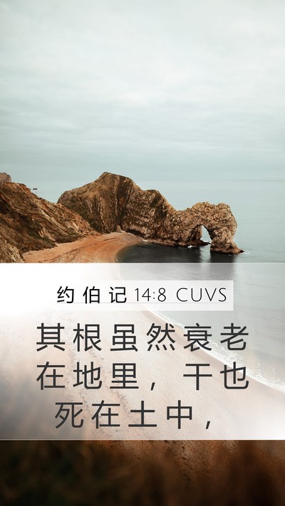 约 伯 记 14:8 CUVS Mobile Phone Wallpaper - 其 根 虽 然 衰 老 在 地 里 ， 干 也 - Mobile Bible Verse Wallpaper