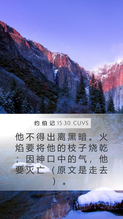 约 伯 记 15:30 CUVS Bible Verse Image