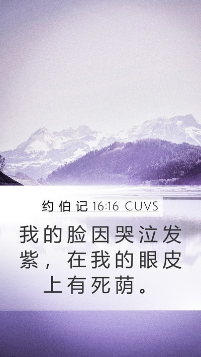 约 伯 记 16:16 CUVS Bible Verse Image