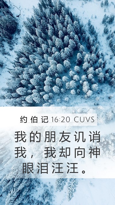 约 伯 记 16:20 CUVS Bible Verse Image