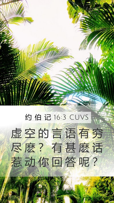 约 伯 记 16:3 CUVS Bible Verse Image