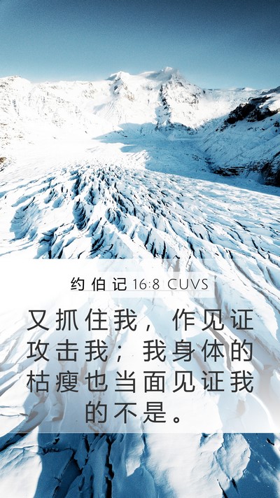约 伯 记 16:8 CUVS Bible Verse Image