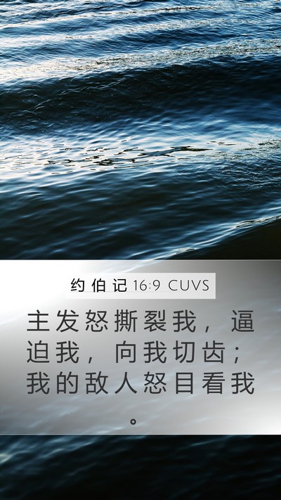 约 伯 记 16:9 CUVS Bible Verse Image