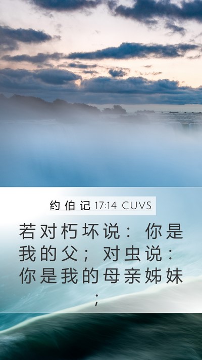 约 伯 记 17:14 CUVS Bible Verse Image