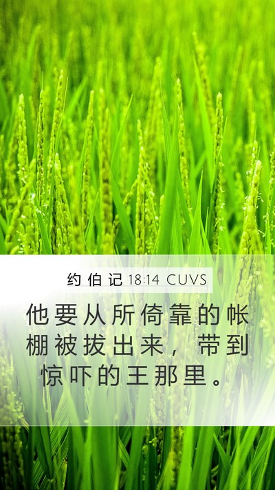 约 伯 记 18:14 CUVS Bible Verse Image
