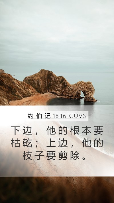 约 伯 记 18:16 CUVS Bible Verse Image