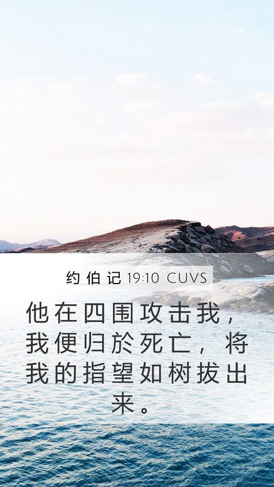 约 伯 记 19:10 CUVS Bible Verse Image