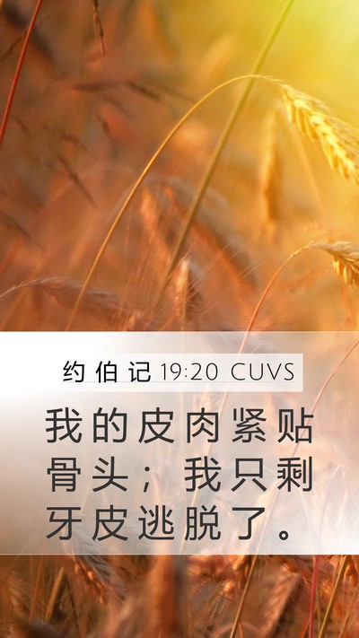 约 伯 记 19:20 CUVS Bible Verse Image