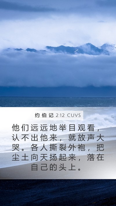 约 伯 记 2:12 CUVS Bible Verse Image