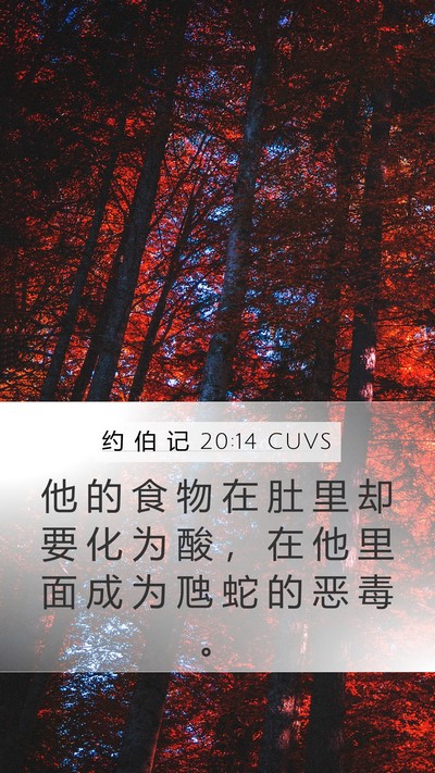 约 伯 记 20:14 CUVS Bible Verse Image