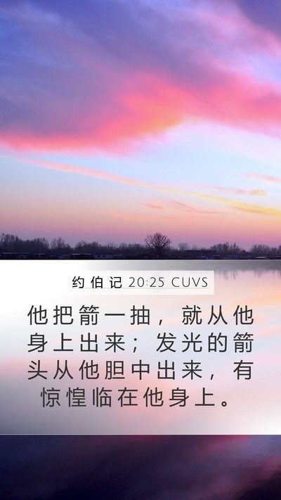 约 伯 记 20:25 CUVS Bible Verse Image