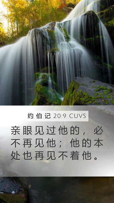 约 伯 记 20:9 CUVS Bible Verse Image