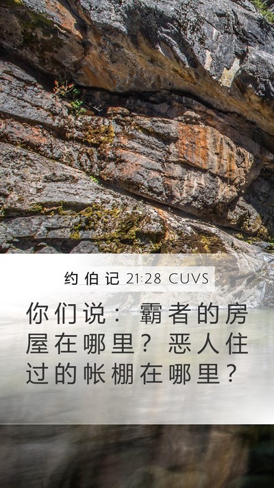 约 伯 记 21:28 CUVS Bible Verse Image