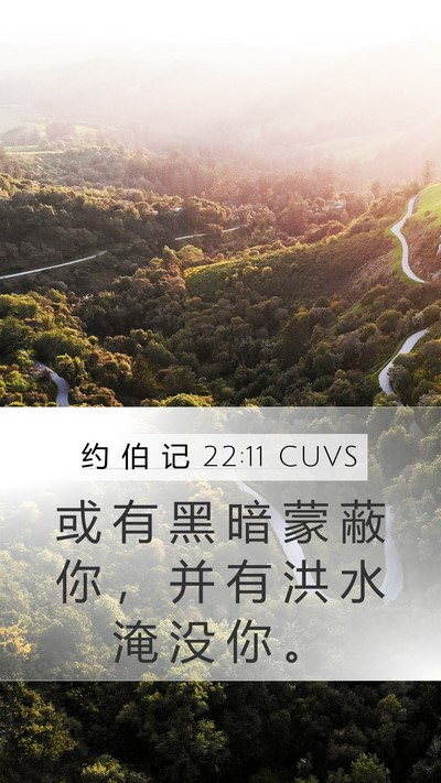 约 伯 记 22:11 CUVS Bible Verse Image