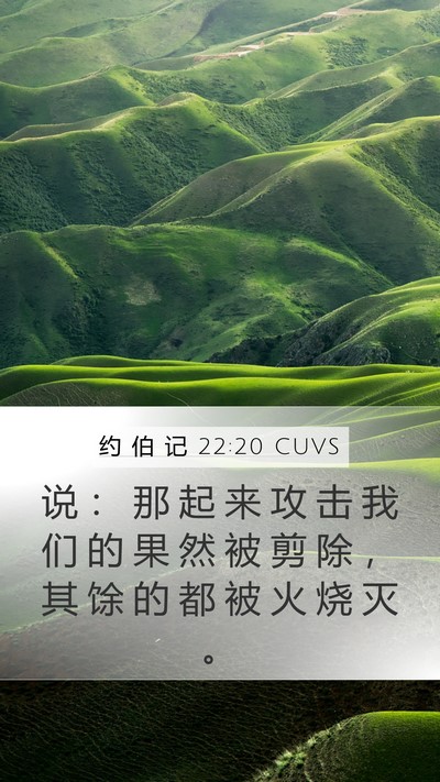 约 伯 记 22:20 CUVS Mobile Phone Wallpaper - 说 ： 那 起 来 攻 击 我 们 的 果 然 - Mobile Bible Verse Wallpaper