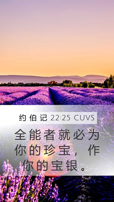 约 伯 记 22:25 CUVS Bible Verse Image
