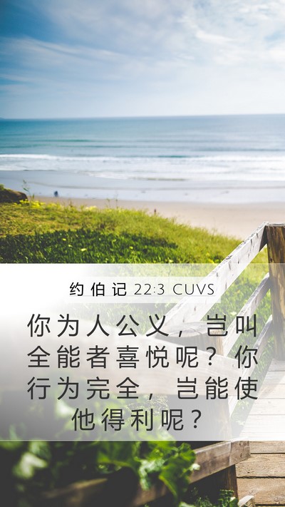 约 伯 记 22:3 CUVS Mobile Phone Wallpaper - 你 为 人 公 义 ， 岂 叫 全 能 者 喜 - Mobile Bible Verse Wallpaper