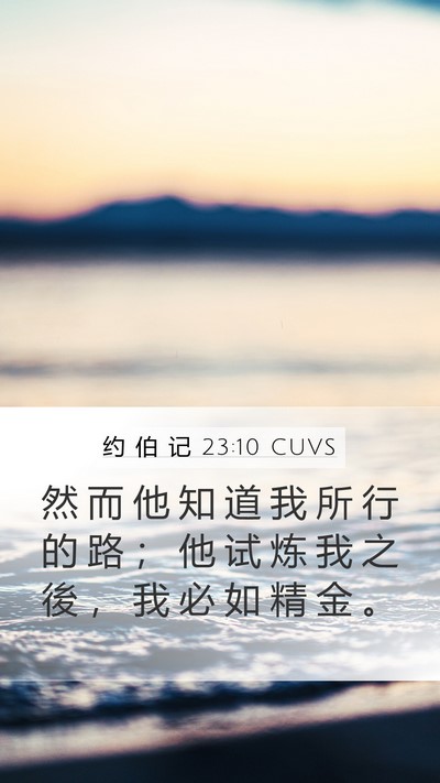 约 伯 记 23:10 CUVS Bible Verse Image