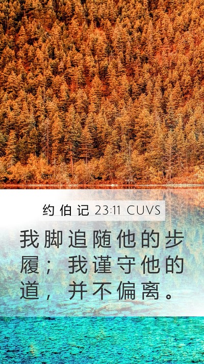约 伯 记 23:11 CUVS Bible Verse Image