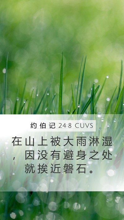 约 伯 记 24:8 CUVS Mobile Phone Wallpaper - 在 山 上 被 大 雨 淋 湿 ， 因 没 有 - Mobile Bible Verse Wallpaper