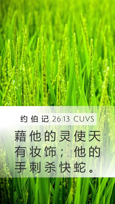 约 伯 记 26:13 CUVS Bible Verse Image
