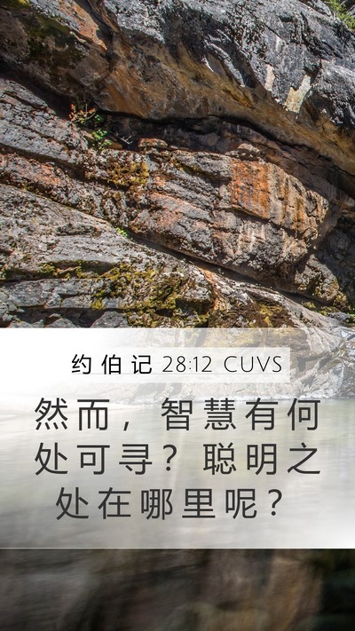 约 伯 记 28:12 CUVS Bible Verse Image