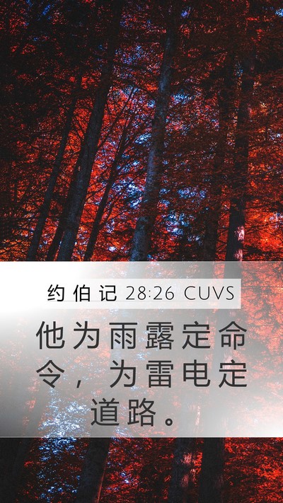 约 伯 记 28:26 CUVS Bible Verse Image